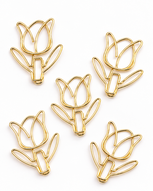 Set of five assorted boutique decorative paper clips
